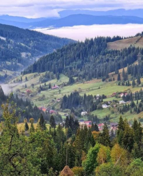 Pensiunea Casa Fierarul din Bucovina